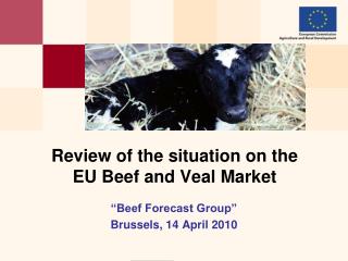 Review of the situation on the EU Beef and Veal Market