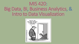 MIS 420 : Big Data , BI , Business Analytics , &amp; Intro to Data Visualization