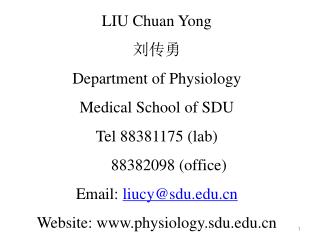 LIU Chuan Yong 刘传勇 Department of Physiology Medical School of SDU Tel 88381175 (lab)