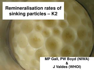 Remineralisation rates of sinking particles – K2