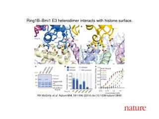 RK McGinty et al. Nature 514 , 591-596 (2014) doi:10.1038/nature13890