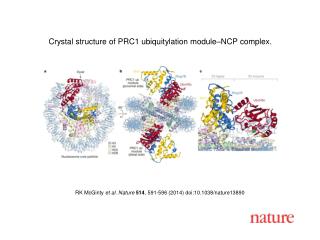 RK McGinty et al. Nature 514 , 591-596 (2014) doi:10.1038/nature13890