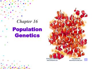 Population Genetics