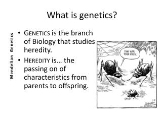 What is genetics?