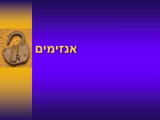 אנזימים