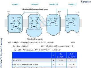 Complex I