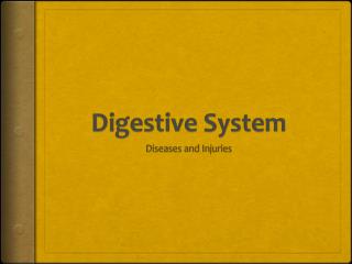 Digestive System