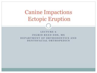 Canine Impactions Ectopic Eruption