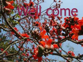 Well come