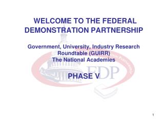 WHAT IS THE FDP?