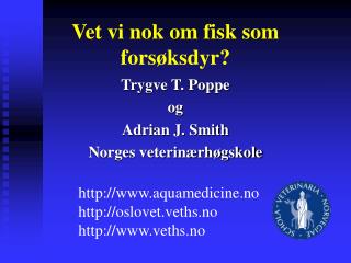 Vet vi nok om fisk som forsøksdyr?