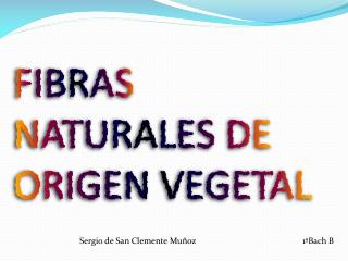 FIBRAS NATURALES DE ORIGEN VEGETAL