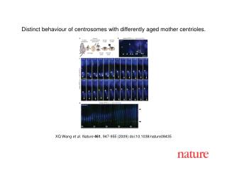 XQ Wang et al. Nature 461 , 947 - 955 (2009) doi:10.1038/nature08 435