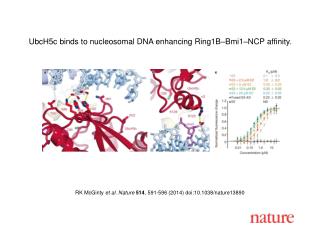 RK McGinty et al. Nature 514 , 591-596 (2014) doi:10.1038/nature13890