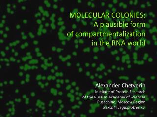 Alexander Chetverin Institute of Protein Research of the Russian Academy of Sciences