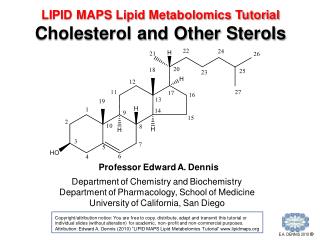 LM7_Cholesterol_and_Other_Sterols