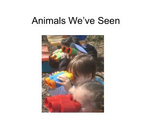 Animals We’ve Seen