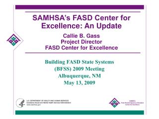 Building FASD State Systems (BFSS) 2009 Meeting Albuquerque, NM May 13, 2009
