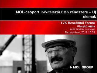 TVK Beszállítói Fórum Plecskó Attila TÁSZ FF&amp;EBK tanácsadó Tiszaújváros, 201 2.10.03