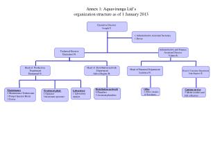 Annex 1: Aquavirunga Ltd’s organization structure as of 1 January 2013