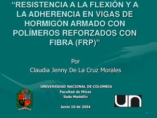 Por Claudia Jenny De La Cruz Morales UNIVERSIDAD NACIONAL DE COLOMBIA Facultad de Minas
