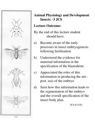 Animal Physiology and Development Insects –3 JCS Lecture Outcome: