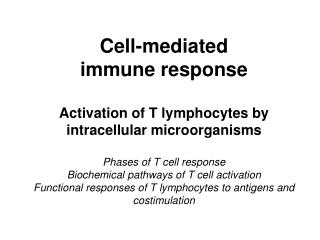 Molecules involved in T cell activation