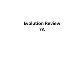 Evolution Review 7A