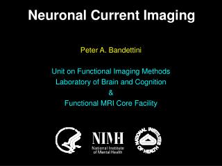 Peter A. Bandettini Unit on Functional Imaging Methods Laboratory of Brain and Cognition &amp;