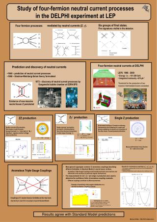 Study of four-fermion neutral current processes in the DELPHI experiment at LEP