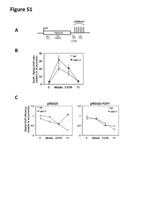 Figure S1