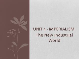 Unit 4 - Imperialism
