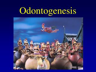 Odontogenesis