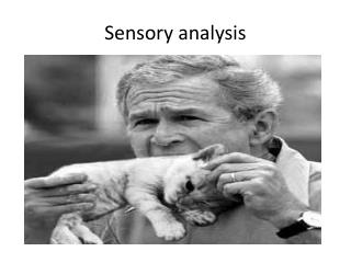 Sensory analysis