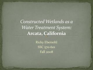 Constructed Wetlands as a Water Treatment System: Arcata, California