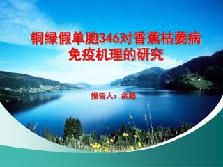 铜绿假单胞 346 对香蕉枯萎病 免疫机理的研究