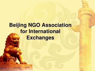 Beijing NGO Association for International Exchanges