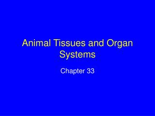 Animal Tissues and Organ Systems