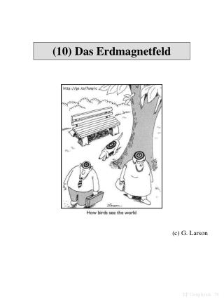 (10) Das Erdmagnetfeld