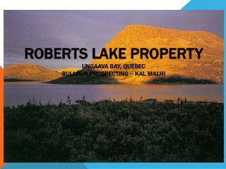 Roberts Lake PROPERTY Ungaava Bay, QUEBEC BULLRUN PROSPECTING – KAL MALHI