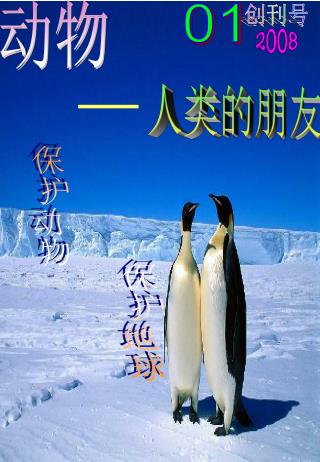 人类的朋友