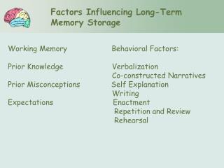 Factors Influencing Long-Term Memory Storage