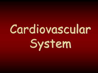 Cardiovascular System