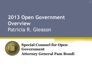 2013 Open Government Overview Patricia R. Gleason