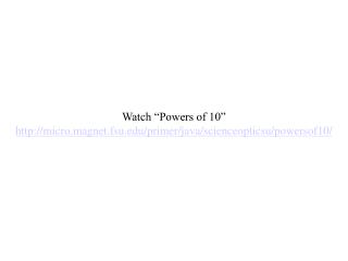 Watch “Powers of 10” micro.magnet.fsu/primer/java/scienceopticsu/powersof10/