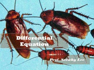 Differential Equation