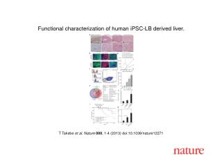 T Takebe et al. Nature 000 , 1-4 (2013) doi:10.1038/nature12271