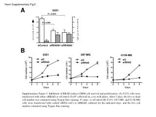 Yeom Supplementary Fig.5