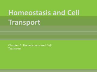 Homeostasis and Cell Transport