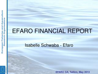 EFARO FINANCIAL REPORT